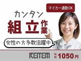 日本ケイテム(お仕事No.6219a)のアルバイト写真