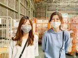 ディーエムソリューションズ株式会社 大阪メールセンター|検品/仕分け業務_02のアルバイト写真
