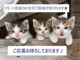 株式会社サンディスカバリー 01402-A0111120のアルバイト写真