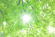 明日葉保育園 相生園 保育士【パート】(23114)のアルバイト写真2