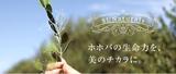 株式会社サンナチュラルズ 本社のアルバイト写真