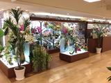 パレフローラ 鶴屋百貨店のアルバイト写真