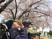 さざなみ京都南のアルバイト写真2