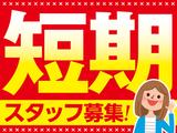 トランスコスモス株式会社 沖縄本部(UCSC係)(駅近)のアルバイト写真