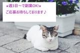 株式会社サンディスカバリー 01406-A0111130のアルバイト写真