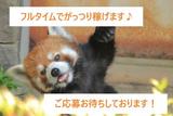 株式会社サンディスカバリー 05302-B2111110のアルバイト写真