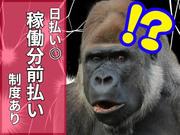 ディースタッフ株式会社 本社(1)1のアルバイト小写真3