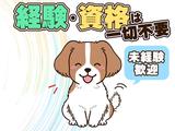 株式会社Dioスタッフ 春日井エリアB_l/001のアルバイト写真