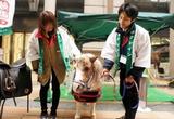 乗馬クラブクレイン福岡のアルバイト写真
