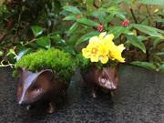 鮨処ひと志のアルバイト写真2