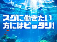 株式会社ピースメーカー 三重営業所 四日市エリアのフリーアピール、みんなの声