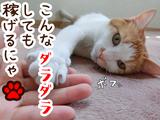日本マニュファクチャリングサービス株式会社19/sen210803のアルバイト写真