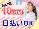 ライクスタッフィング株式会社 モバイル事業部 岩宿エリアS/tky0105aaのアルバイト写真
