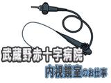 ワタキューセイモア東京支店//武蔵野赤十字病院(仕事ID:87360)のアルバイト写真