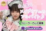 めいどりーみん 秋葉原ひみつきち(ホール(フリーター))のアルバイト写真