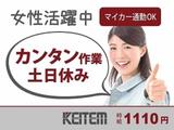 日本ケイテム(お仕事No.6150)のアルバイト写真