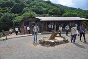 嵐山モンキーパークいわたやまのアルバイト写真1
