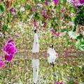 株式会社PLANETS teamLab Planets TOKYO DMM.com オペレーション/メンテナンスのアルバイト写真