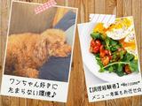 株式会社マーキュリー(契約社員/ホテルカフェ)東京都秋葉原1/mh_tky_hcのアルバイト写真