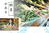 松戸スーパー*青果担当(株式会社アクトプラス販売事業部)/aphl6537のアルバイト写真