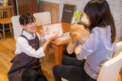 ペットプラス MARK IS 葛飾かなまち店(仮称)のアルバイト写真