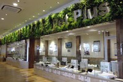ペットプラス MARK IS 葛飾かなまち店(仮称)のアルバイト写真