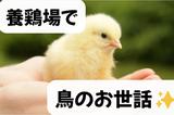 (No.1397)宇部市・飼育管理(株式会社アセットヒューマン)のアルバイト写真