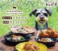 炭焼牛たん東山・DOG CAFEわんぴーすイオンモール須坂店のアルバイト写真