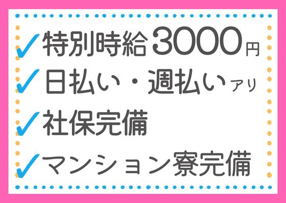 有限会社ブライトワークス 採用受付係 上小田井店CW5Aのアルバイト写真