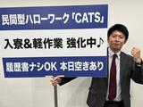 株式会社CATS3 大阪市北区 看板持ちのアルバイト写真