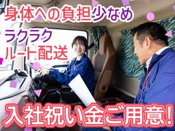 株式会社ダイセーセントレックス 沖縄ハブセンター【4tトラックドライバー_13の1】