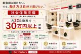 カットファクトリーふじみ野店のアルバイト写真