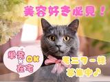ご自宅でのお仕事《株式会社クラウドワーカー》1513のアルバイト写真