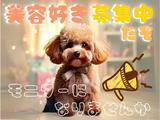 ご自宅でのお仕事《株式会社クラウドワーカー》296のアルバイト写真
