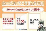 株式会社デルタ四国(ケーブルの組立加工作業)のアルバイト写真