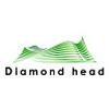 ダイアモンドヘッド株式会社  フィッティングモデル&商品管理:戸田のロゴ