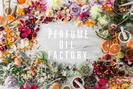 ファッション人材リンク株式会社札幌支店 The PERFUME OIL FACTORY*フレグランス販売/札幌ステラプレイス店241【FJL】のアルバイト写真