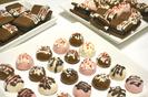 ファッション人材リンク株式会社大阪支店 1粒から買える可愛いCHOCOLATEショップ/三井アウトレットパーク北陸小矢部1560【FJL】のアルバイト写真
