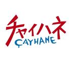 ファッション人材リンク株式会社名古屋支店/ チャイハネ▼イオンモール須坂/nya298-1229【FJL】のアルバイト写真