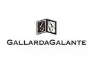 ファッション人材リンク株式会社名古屋支店/GALLARDAGALANTE(ガリャルダガランテ)▼ゲートタワーモール/nya066-361【FJL】のアルバイト写真