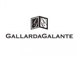 ファッション人材リンク株式会社名古屋支店/GALLARDAGALANTE(ガリャルダガランテ)▼ジャズドリーム長島/nya066-934【FJL】のアルバイト写真