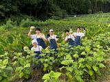 やさいの王様 日比谷店_02のアルバイト写真