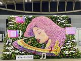 株式会社フォーシーズンズ(お葬式場でのフラワーアレンジメント・お花の配送スタッフ)のアルバイト写真