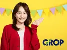 株式会社グロップAKS0154_170276のアルバイト写真