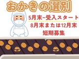 株式会社ホットスタッフ飯塚-54のアルバイト写真