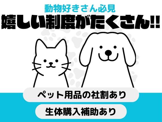 ジャペル株式会社 札幌支店のアルバイト写真