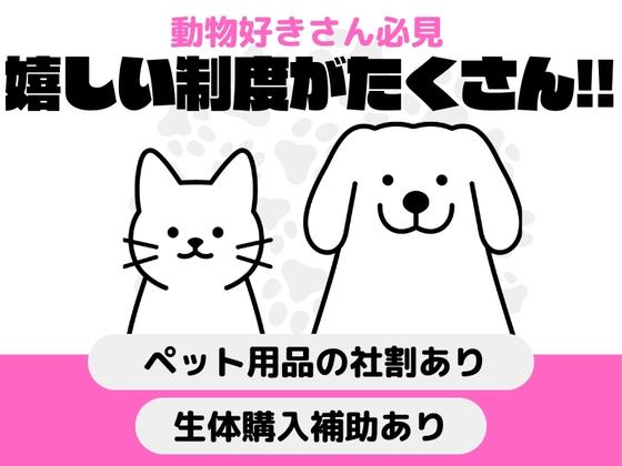 ジャペル株式会社 札幌支店のアルバイト写真