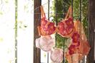 fran de lingerie イオンモール木曽川店のアルバイト写真