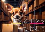 ライクスタッフィング株式会社_九州支社(24)/lwc4のアルバイト写真