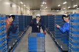 明雪ロジスティクス株式会社_三芳仕分け_002のアルバイト写真